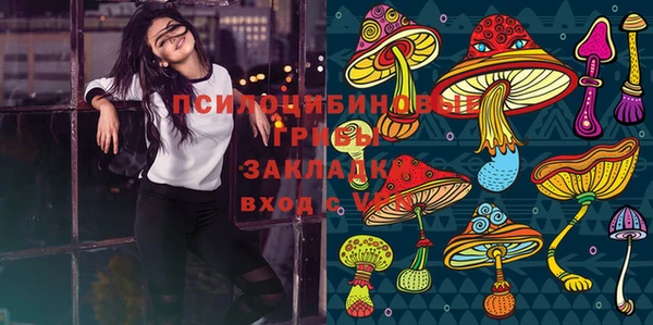 Альфа ПВП Семёнов